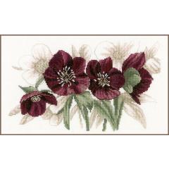 Lanarte - Hellebores