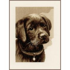 Vervaco Verachtert - Stickbild Labradorwelpe