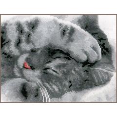 Vervaco Stickpackung - Süßes Kätzchen 16x13 cm