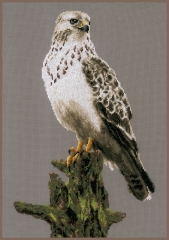 Lanarte - Falcon