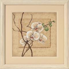 Stickpackung Dimensions - Oriental Orchids