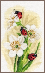 Stickpackung Lanarte – Blumen & Marienkäfer 22x33 cm