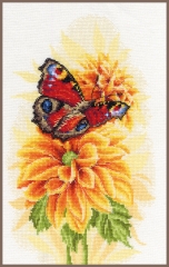 Lanarte - Fluttering butterfly