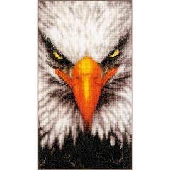Lanarte - Close-up Eagle