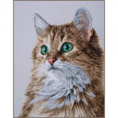 Lanarte - The purrfect stare