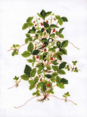 Haandarbejdets Fremme - Walderdbeeren