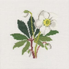 Fremme Stickpackung - Christrose