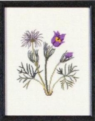 Fremme Stickpackung - Pasqueflower South Dakota 17x21 cm