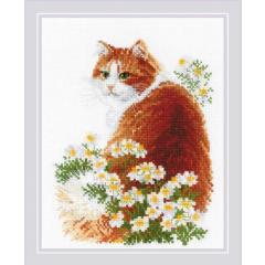 Riolis - Stickbild Ginger Meow