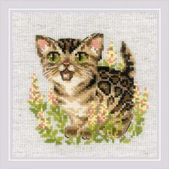 Riolis - Stickbild Bengal Kitten