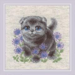 Riolis - Stickbild Lop-eared Kitten