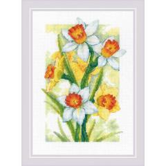 Riolis - Stickbild Spring Glow - Daffodils