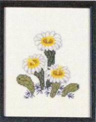 Fremme Stickpackung - Saguaro Arizona