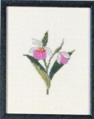 Fremme Stickpackung - Lady's Slipper Minnesota 17x21 cm