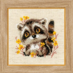 Riolis Stickpackung - Little Raccoon 13x13 cm