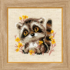 Riolis - Stickbild Little Raccoon
