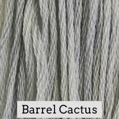 Classic Colorworks - Barrel Cactus