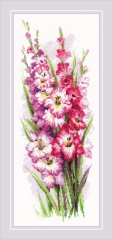 Stickpackung Riolis - Charming Gladioli 20x50 cm