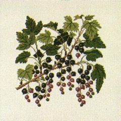 Fremme Stickpackung - Schwarze Johannisbeeren 27x27 cm