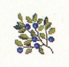 Fremme Stickpackung - Blaubeeren