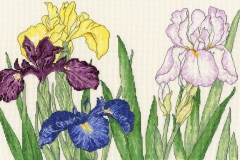 Bothy Threads - Iris Blooms 36 x 24 cm