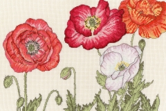 Bothy Threads - Poppy Blooms 36 x 24 cm