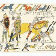 Bothy Threads Stickpackung - Bayeux Tapestry - The Demise Of King Harold