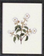 Fremme Stickpackung - Syringa Idaho