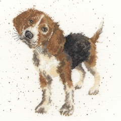 Stickpackung Bothy Threads - Beagle 26 x 26 cm