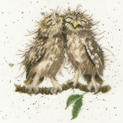 Stickpackung Bothy Threads - Birds Of A Feather 26 x 26 cm