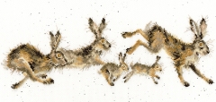 Bothy Threads Hannah Dale - Spring In Your Step
