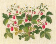 Fremme Stickpackung - Wilde Erdbeeren