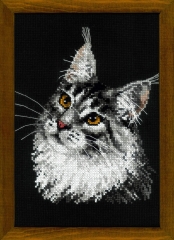 Riolis - Stickbild Maine Coon